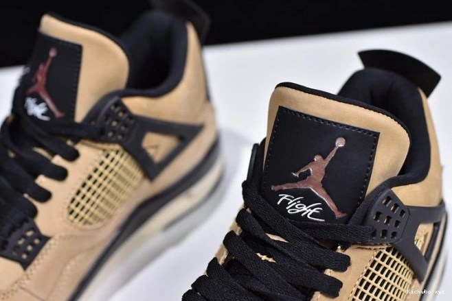 4 Jordan AQ9129-200 Mushroom Air 0808